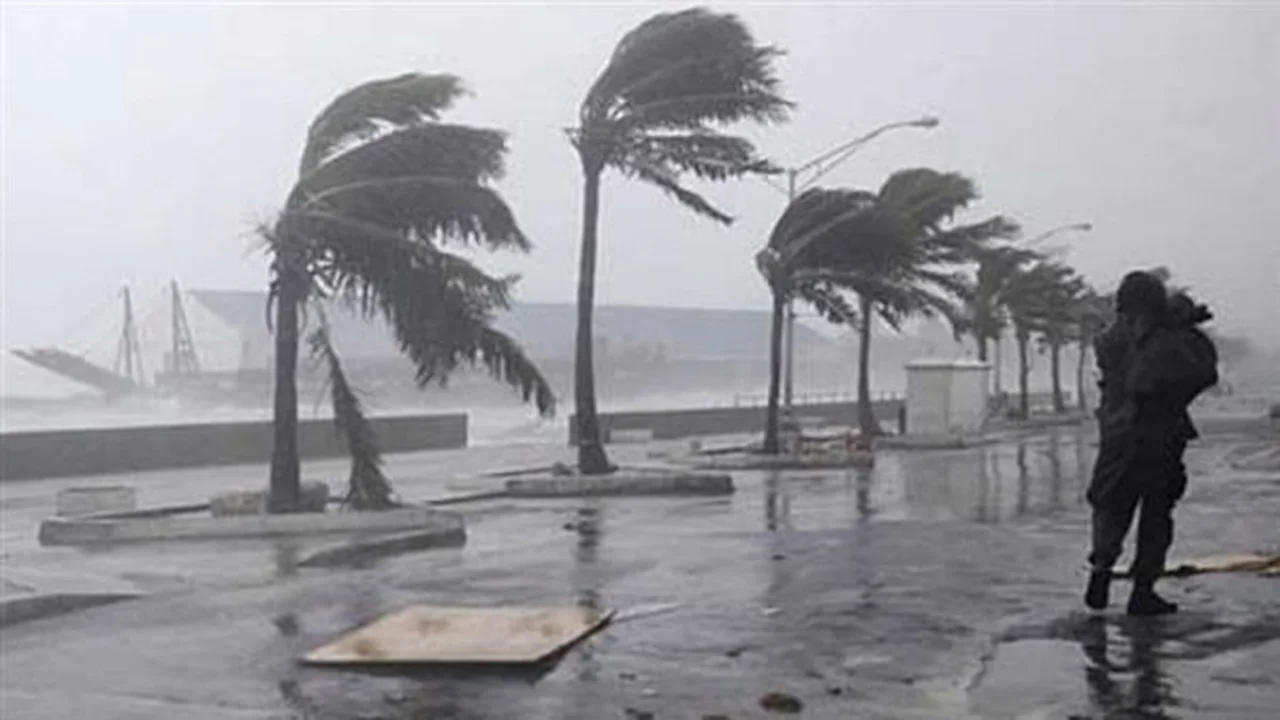 الأرصاد توضح تفاصيل طقس الغد مع توقعات بوصول سرعة الرياح لـ 35 كم